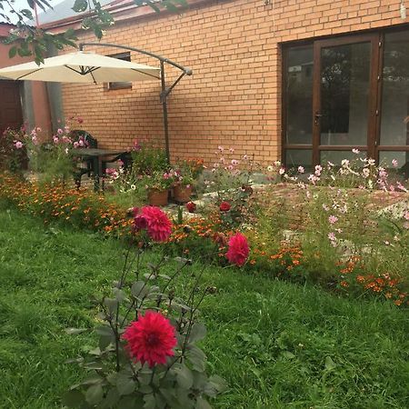 Story Guesthouse 卡兹贝吉 外观 照片